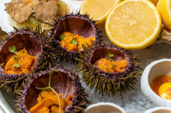 Курорт Красная Поляна! 100 идей, как отдохнуть летом.