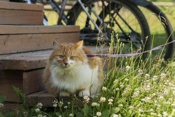 10 лучших отелей в русском стиле