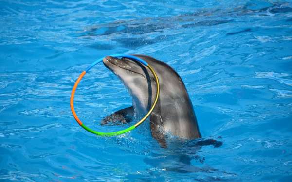 Что посмотреть в Геленджике